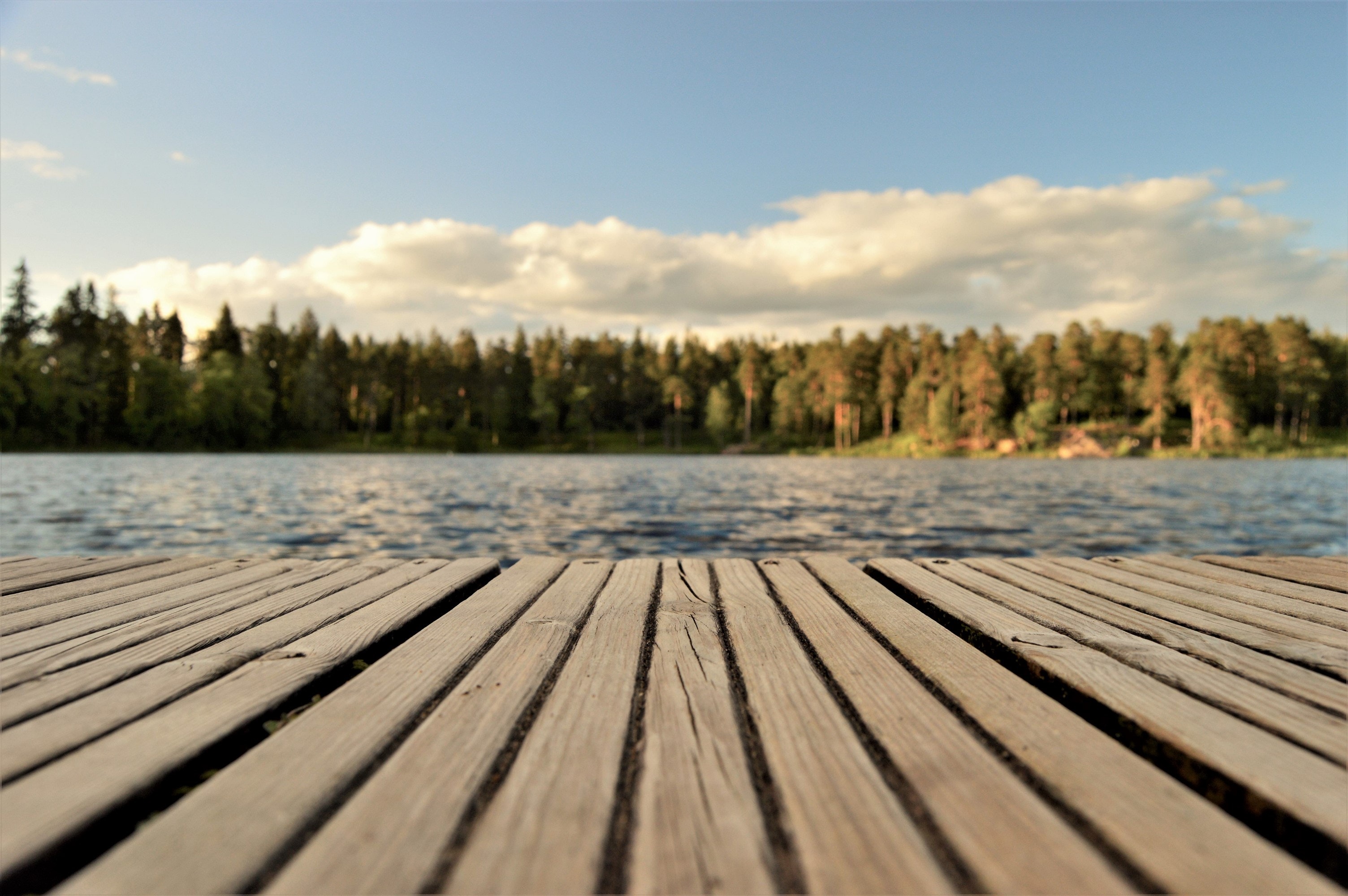 /upload/images/2022/8/8b08c3d1e588ffd2.jpg